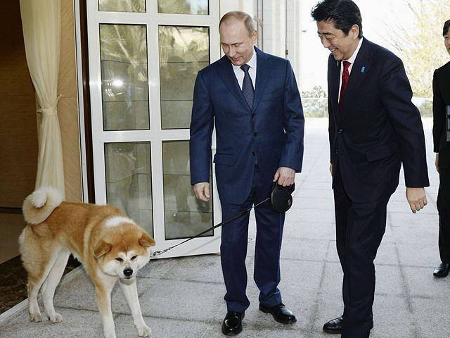 资料：2014年2月8日，索契，俄罗斯总统普京（左）牵着“梦”迎接日本首相安倍晋三
