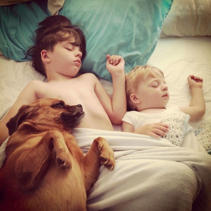 孩子与狗狗在一起睡觉的照片（50张）