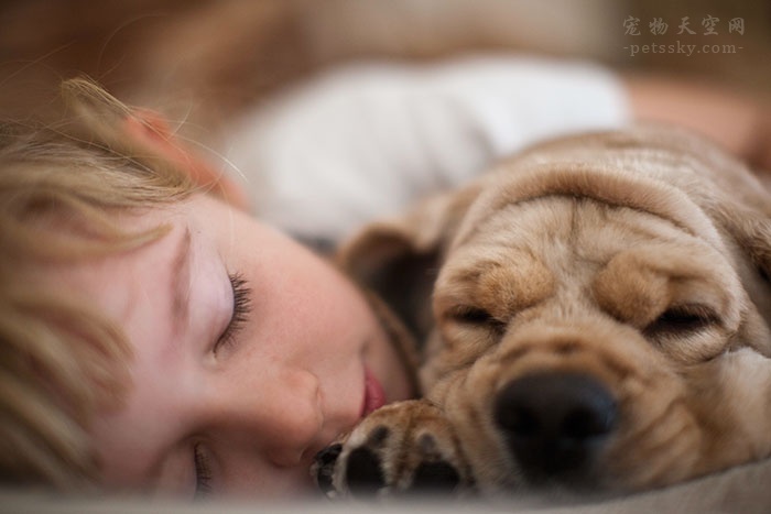 13、孩子与狗狗在一起睡觉的照片