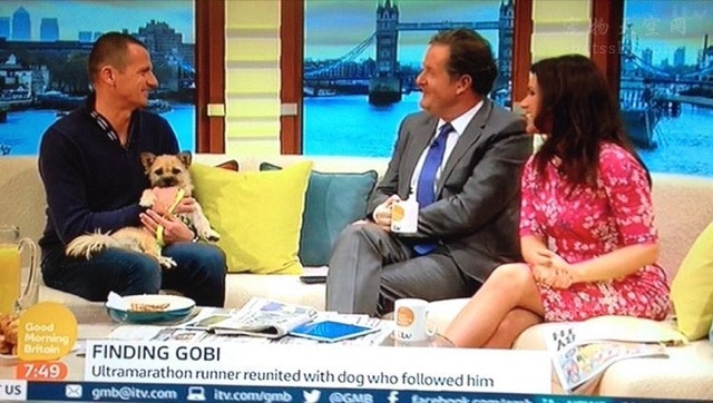 狗狗“戈壁”在英国的生活