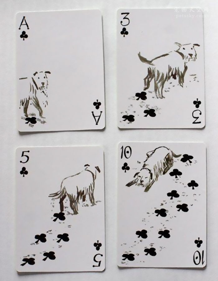 为喜欢狗狗的人设计的扑克牌 画风还挺好看