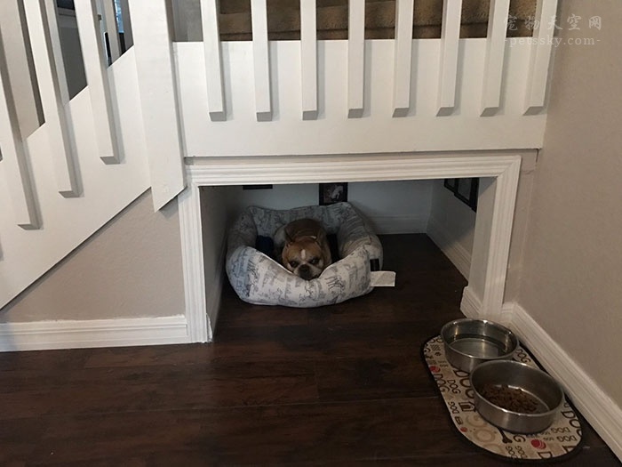 小伙在装修自己家的时候，为狗子单独装建了一个小屋