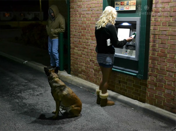 带着狗狗在取款机前取钱