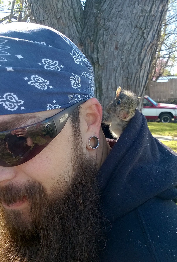 遇到一只陌生的小松鼠