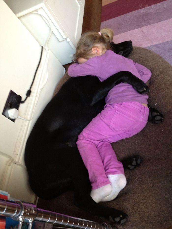 女儿从学校回来后，就会抱着狗狗倾诉