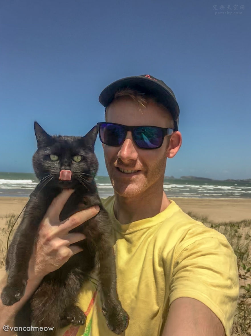 这个男人带着猫咪，过了3年多的野外旅行生活