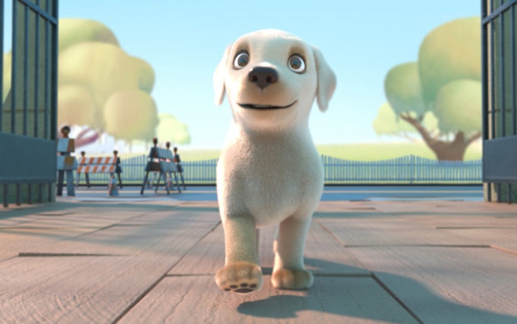 导盲犬《Pip》的励志故事，虽然笨笨的，却被它感动哭！