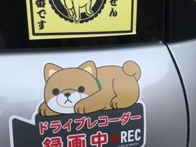 在日本，很多车子上贴着狗狗的标识，原来是这个原因