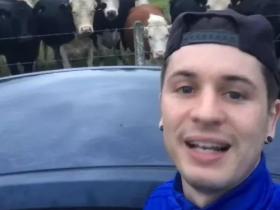 下车拍照却被狗锁在门外，而这时，围过来一群牛