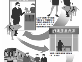 北京火车站发布导盲犬乘车细则:不用单独购票