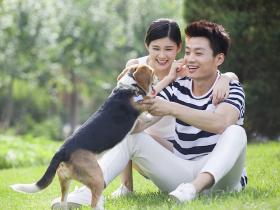 如果老公不让养狗，而老婆又特别喜欢狗怎么办？