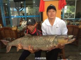 父子联手钓起百斤鳡鱼 身长1.63米激战近3小时