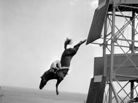 1943-1969年的珍贵老照片：骑马跳水运动