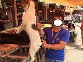 印尼最臭名昭著的狗肉市场 画面非常怵目惊心