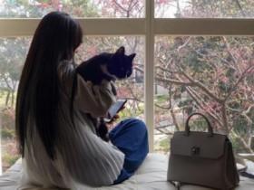 郭碧婷抱着猫咪赏樱 长发及腰背影很唯美