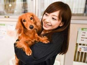 在日本有一家不出售宠物的宠物店 背后有个特殊原因