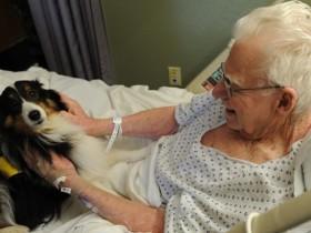 加拿大医院允许重病患者的宠物探望主人 非常人性化
