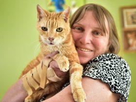 英国一只30岁的猫咪 申请“世界上年龄最大的猫”吉尼斯纪录
