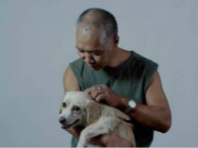 他有房子有家，却住在上海街头，靠捡垃圾救了3000多条流浪狗