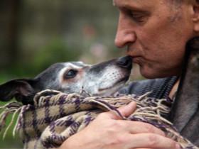 英国一只高龄狗狗接受安乐死 数百人陪它最后一次散步