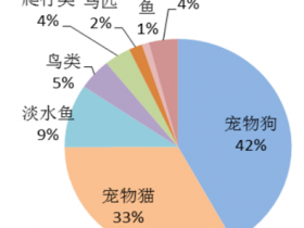 2016年中国宠物行业发展现状分析