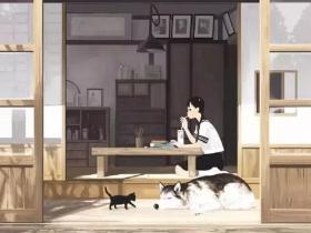 “到底养猫还是养狗好?”看完笑喷!