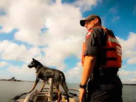 她8年前救助一只流浪狗,8年后狗狗变成警犬救了她的儿子!