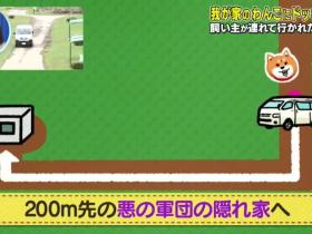 日本测试:如果在狗狗面前遭人绑架,它会做出怎样的反应?