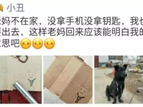 网友要出门,妈妈没带钥匙,于是…想到了家里的狗