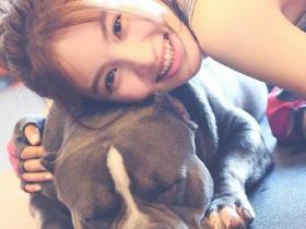 美女与恶霸犬在一起的画风!这些照片会圈粉吗?