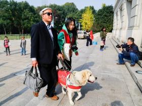 上海音乐厅邀请10只导盲犬进入会场，陪伴主人一同欣赏音乐会