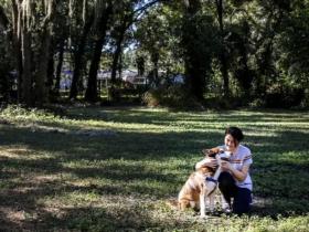 狗狗走失一年半,主人竟在2000公里外找到了它!