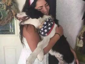 与铲屎官分离10个月,狗子再见到主人时,激动坏了