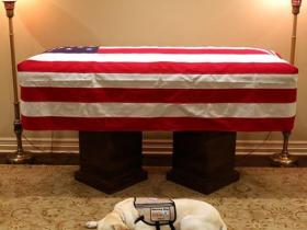 服务犬Sully趴在老布什灵柩前的照片，被国外媒体关注和报道