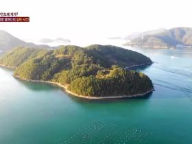 韩国无人岛上被弃养了两只狗狗,主人任它们在岛上自生自灭