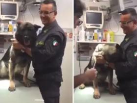 意大利一只警犬怕打针，看到医生手上的针，它的反应很搞笑