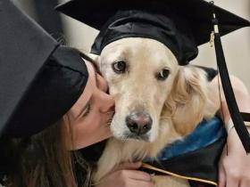服务犬每天陪瘫痪主人上课,4年来在课堂上没叫一声!