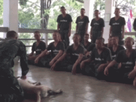 泰国军官为学生做心肺复苏演示，用一条狗做模型
