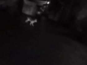 女店主报警有陌生人不停敲门,民警全副武装前往