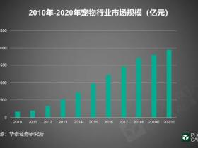 宠物经济:一门千亿级的孤独生意
