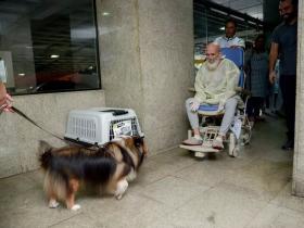主人因患上癌症被医生“判死刑”,直到他的狗来探病