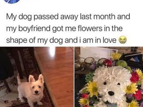 女朋友的爱犬去世,他送了这样一份礼物……