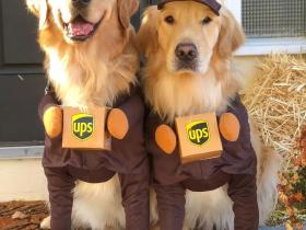 国外UPS公司推出的最新服务，让各种狗狗给客户送快递