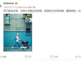 孙俪发微博:“大多数走丢的狗狗,都是因为没有狗绳。”