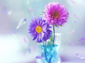 欣赏一个人,始于颜值,敬于才华,合于性格,久于善良,终于人品