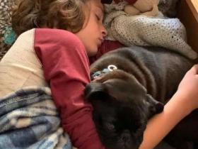 爱犬被偷后,小男孩花了6年时间寻找它,而奇迹真的出现了