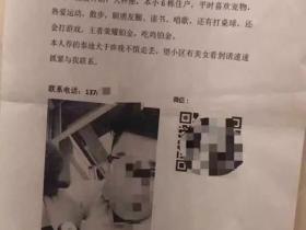 别贴了,这样的寻狗启事根本找不到狗!
