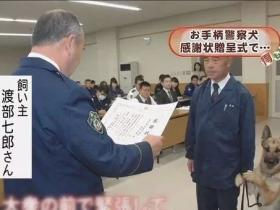 功勋警犬上台领奖,害羞地握住主人的手