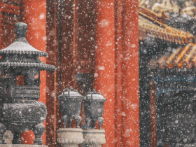 蹲守故宫3年,她拍下刷遍全网的雪景图和猫片