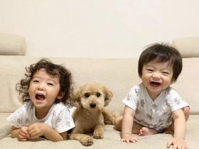 让狗狗带娃是什么体验?日本二胎美妈公开生活照,引千万网友围观